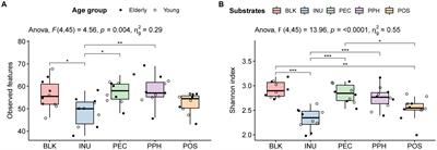 Age-related effects on the modulation of gut microbiota by pectins and their derivatives: an in vitro study